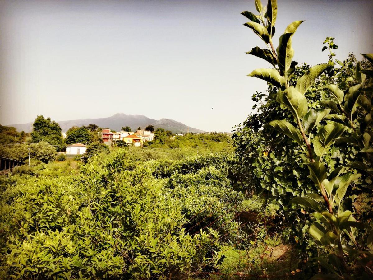 Petralava Etna B&B Giarre Εξωτερικό φωτογραφία