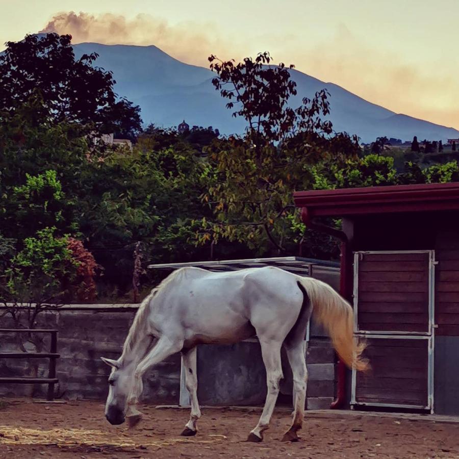 Petralava Etna B&B Giarre Εξωτερικό φωτογραφία